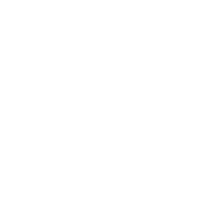 Home Inspectors Professional home inspector examining residential property structure and safety systems