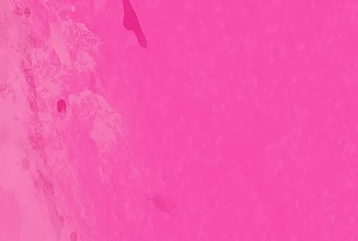 Image Alt3e2e